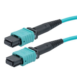 MPO 无引脚到 MPO 无引脚，24 光纤，B 型，10GB 50/125 OM3 MMF，OFNR，3 米的图片