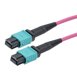 MPO 无针到 MPO 无针，24 光纤，A 型，40GB 30/123 OM4 MMF，OFNR，3 米的图片