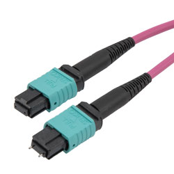 MPO 带针到 MPO 无针，12 光纤，B 型，40GB 50/125 OM4 MMF，LSZH 护套，5 米的图片