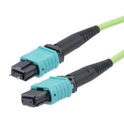 MPO 带针到 MPO 无针，24 光纤，A 型，100GB 50/125 OM5 MMF，OFNR，10 米的图片