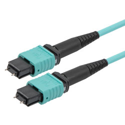 MPO 带引脚到 MPO 带引脚，24 根光纤，B 型，10GB 50/125 OM3 MMF，OFNR，3 米的图片