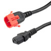 C13 to Dual locking C14, 15A, 250V, 10ft的图片