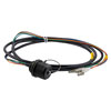 4 Channel TFOCA 2 Jam Nut Receptacle to LC/UPC, Multimode OM1, 7.5mm Tactical cable assembly, 1 meter, 18in (0.4572M) breakout的图片
