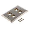 Stainless Steel Wall Plate with 4 Keystone Style Mount Openings的图片