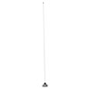 136 to 174 MHz Omni Antenna 2.5 dBi Gain, NMO Connector, Stainless Steel的图片