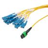 MPO APC w/o Pins to 10xSN (20 strand) UPC Cable Assembly, Single Mode, Riser Rated, 5 Meter的图片