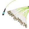 MPO带引脚插口到FLC扇出插口，24根光纤，OM5 50 / 125um多模，OFNR 光缆护套，柠檬绿，1米的图片