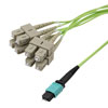 Type B MPO w/ pins to SC/UPC fan-out, 2.0mm Diameter, 8 Fiber, Multimode OM5 100GB 50/125µm, OFNP Jacket, 5 Meter的图片