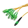 Type B MPO w/ pins to SC/APC fan-out, 2.0mm Diameter, 8 Fiber, Single Mode OS2 9/125µm, OFNP Jacket, 3 Meter的图片