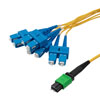 Type B MPO w/ pins to SC/UPC fan-out, 2.0mm Diameter, 8 Fiber, Single Mode OS2 9/125µm, OFNP Jacket, 10 Meter的图片