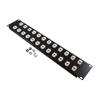 2U (3.5") 19 Inch Panel with 24 Cat6 Mini-Couplers的图片
