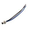 M12 AC Power 4 Pin S Code Male Receptacle, IP68 IP69K Rated, 630V, 12A, PG9 Rear Panel Mount Style with 16AWG UL1015 PVC 0.2M Leads的图片