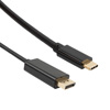 DisplayPort公头/DVI公头电缆组件，3米的图片